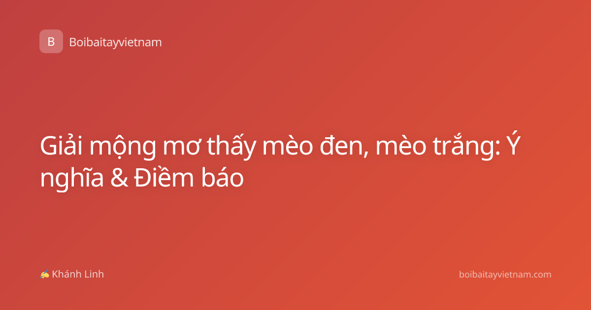 Giải mộng mơ thấy mèo đen, mèo trắng: Ý nghĩa & Điềm báo